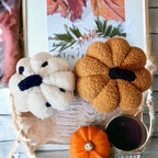 Blair Pumpkin II - Hand Made Pumpkin Shaped Pillows/Decorative Cushions